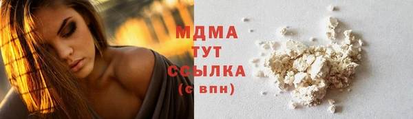 индика Беломорск
