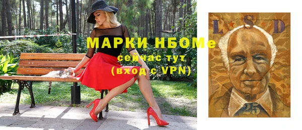 индика Беломорск