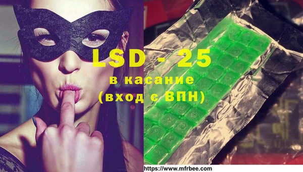 индика Беломорск