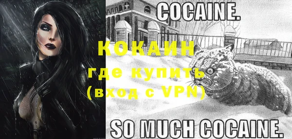 индика Беломорск