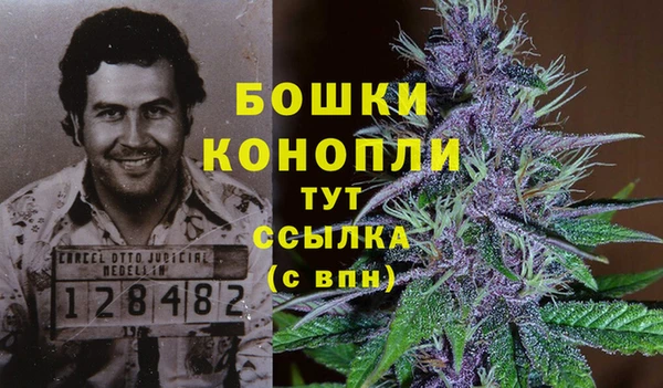 каннабис Белоозёрский