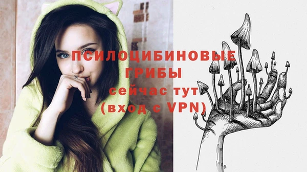 каннабис Белокуриха