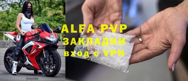 индика Беломорск