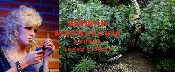 каннабис Белокуриха