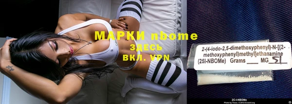 индика Беломорск