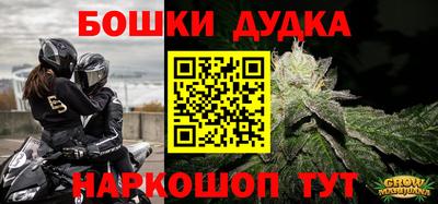 дживик Новозыбков