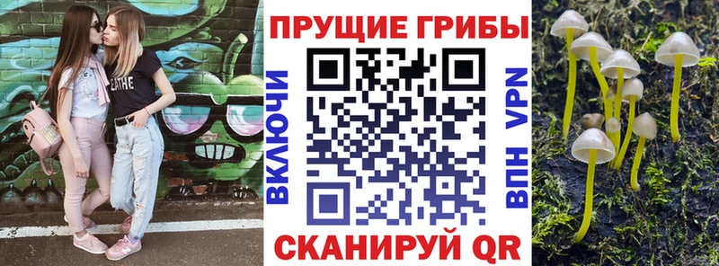 наркотики  Бутурлиновка  Галлюциногенные грибы Psilocybine cubensis 