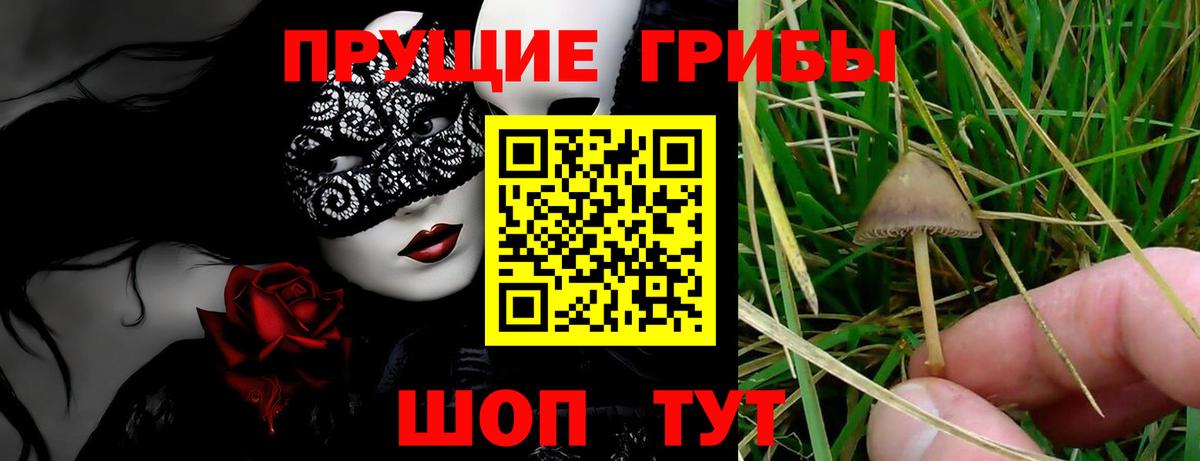 Псилоцибиновые грибы MAGIC MUSHROOMS  Галлюциногенные грибы мухоморы  Вход с VPN  Бутурлиновка 
